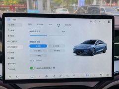 BYD Dolphin 07 DM-i 2026 DM-i 1.5T 230km Flagship - ფოტო 12