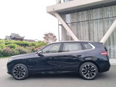 BMW X3 xDrive30L Luxury M Sport Package - ფოტო 3
