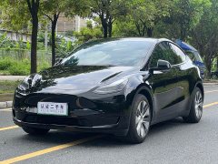 Tesla Model Y Rear-Wheel Drive - ფოტო 1