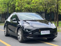 Tesla Model Y Rear-Wheel Drive - ფოტო 3