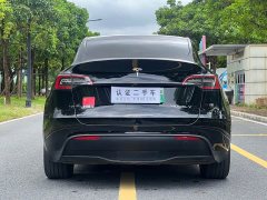 Tesla Model Y Rear-Wheel Drive - ფოტო 8