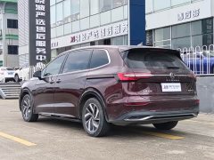 Volkswagen Viloran 380TSI Zunchi Edition - ფოტო 4