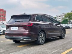 Volkswagen Viloran 380TSI Zunchi Edition - ფოტო 6