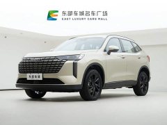 Haval H6 1.5T Two-Wheel Drive Ultra - фото 1