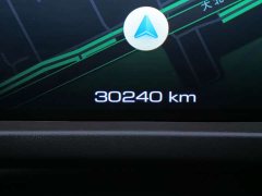 Tank 500 New Energy 2023 Hi4-T - ფოტო 14