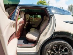 Zeekr Geely Zeekr X 2023 Rear-Wheel Drive YOU Edition 4-Seater - ფოტო 12