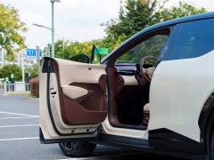 Zeekr Geely Zeekr X 2023 Rear-Wheel Drive YOU Edition 4-Seater - ფოტო 8