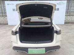 BYD Dolphin 06 DM-i Smart Drive 120KM Premium Edition - ფოტო 17