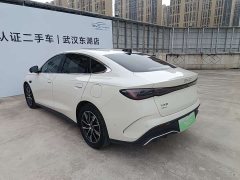 BYD Dolphin 06 DM-i Smart Drive 120KM Premium Edition - ფოტო 18