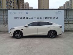 BYD Dolphin 06 DM-i Smart Drive 120KM Premium Edition - ფოტო 5