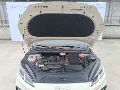 BYD Dolphin 06 DM-i Smart Drive 120KM Premium Edition - ფოტო 6