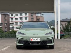 BYD Dolphin 06GT 2025 Smart Drive 505 Wave Plus Edition - ფოტო 2
