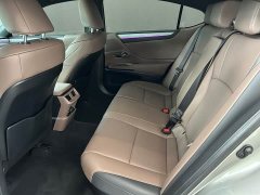 Lexus ES 300h Premium Edition - ფოტო 9