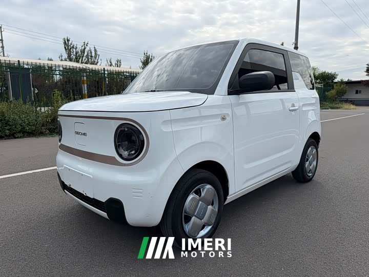 Geely Panda Mini 200km Endurance Edition - ავტომობილი ჩინეთიდან