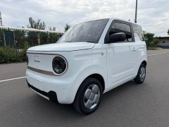 Geely Panda Mini 200km Endurance Edition - ფოტო 1