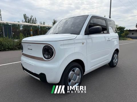 2024 Geely Panda Mini 200km Endurance Edition - ავტომობილი ჩინეთიდან
