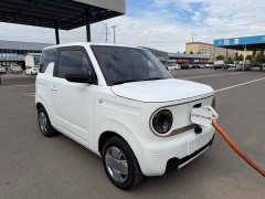 Geely Panda Mini 200km Endurance Edition - ფოტო 17