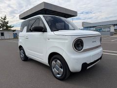 Geely Panda Mini 200km Endurance Edition - ფოტო 3