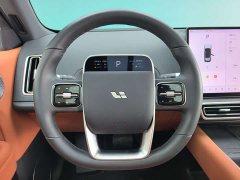 Li Auto L6 Max Smart Refresh Edition - ფოტო 8