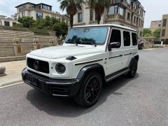 Mercedes-Benz G-Class G 500 - ფოტო 1