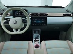 Leapmotor T03 310 Comfort Edition - ფოტო 12