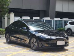 Tesla Model 3 Standard Range RWD Upgrade - ფოტო 3