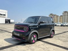 Geely Panda Mini 200km Endurance Edition - ფოტო 1
