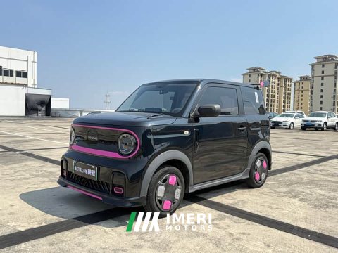 2024 Geely Panda Mini 200km Endurance Edition - ავტომობილი ჩინეთიდან