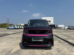 Geely Panda Mini 200km Endurance Edition - ფოტო 2