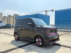 Geely Panda Mini 200km Endurance Edition - ფოტო 3