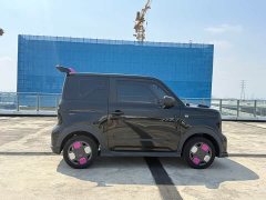 Geely Panda Mini 200km Endurance Edition - ფოტო 4