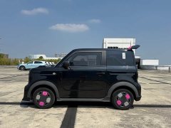 Geely Panda Mini 200km Endurance Edition - ფოტო 5