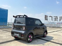 Geely Panda Mini 200km Endurance Edition - ფოტო 6