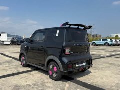 Geely Panda Mini 200km Endurance Edition - ფოტო 8