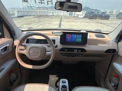 Geely Panda Mini 200km Endurance Edition - ფოტო 9