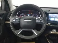 Haval H6 1.5T Automatic Urban Edition - ფოტო 15