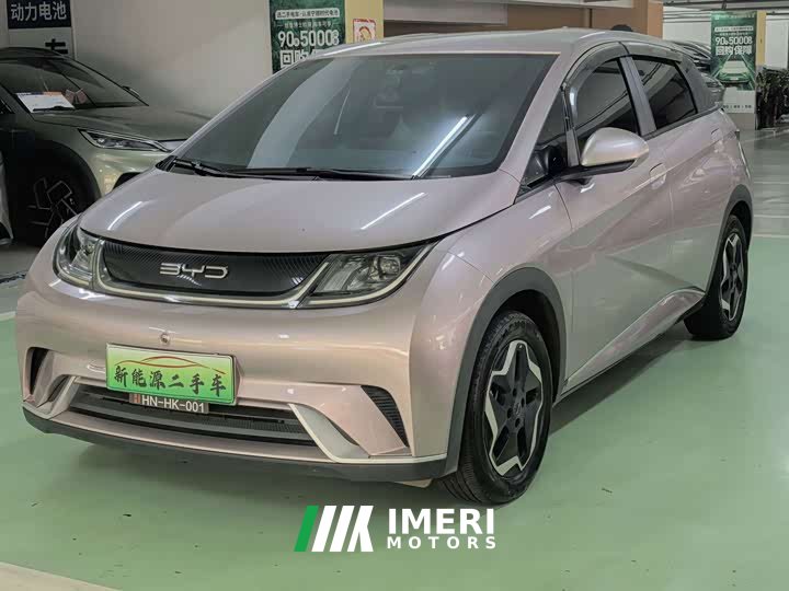 BYD Dolphin 420km Freedom Edition - ავტომობილი ჩინეთიდან