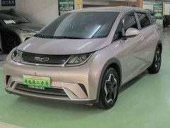 BYD Dolphin 420km Freedom Edition - ფოტო 1