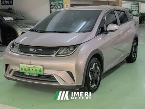 2023 BYD Dolphin 420km Freedom Edition - ავტომობილი ჩინეთიდან