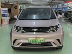 BYD Dolphin 420km Freedom Edition - ფოტო 2