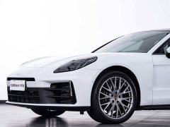 Porsche Panamera Enjoy Edition 2.9T - ფოტო 5