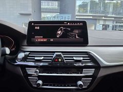 BMW 5 Series 530Li Premier Luxury Package - ფოტო 15