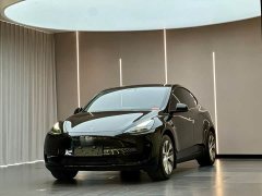 Tesla Model Y 2022 Facelift Rear-Wheel Drive - ფოტო 1