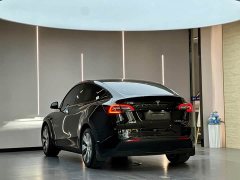 Tesla Model Y 2022 Facelift Rear-Wheel Drive - ფოტო 10