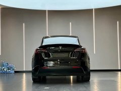 Tesla Model Y 2022 Facelift Rear-Wheel Drive - ფოტო 9