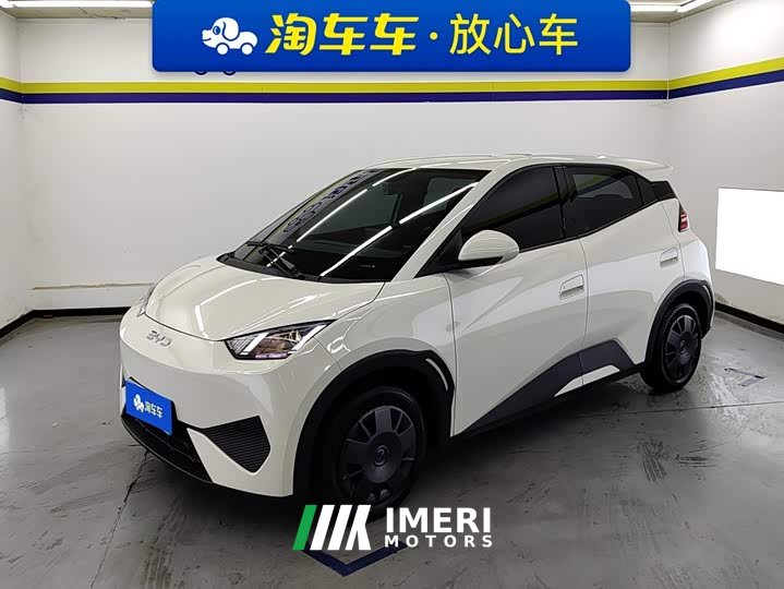 BYD Seagull Smart Drive 305km Vitality Edition