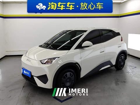 2025 BYD Seagull Smart Drive 305km Vitality Edition - ავტომობილი ჩინეთიდან