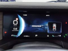 Tank 300 2021 City Edition 2.0T Stylish - ფოტო 14