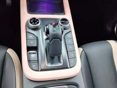 Tank 300 2021 City Edition 2.0T Stylish - ფოტო 16