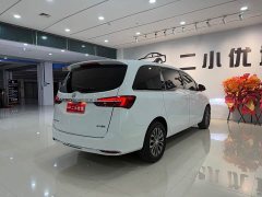 Buick GL8 Land Official Business Class 652T Comfort Edition - фото 6